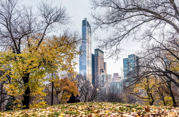 Manhattan skyline viewed through Central Park's autumn trees with golden foliage and fallen leaves