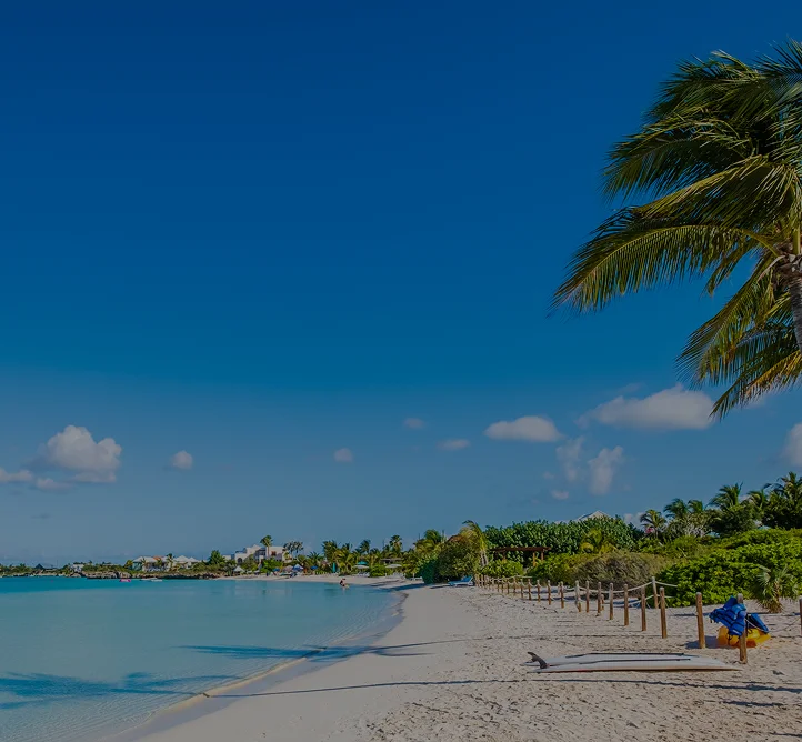 Pristine white sand beach with turquoise waters and palm trees in Providenciales, Turks and Caicos