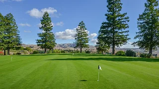 Pristine golf green with flagstick surrounded by tall pine trees under blue sky at luxury resort