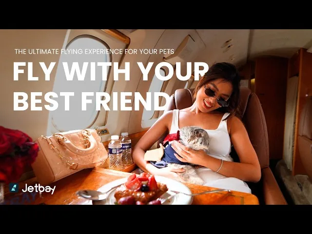 Pet Charter Travel with JETBAY 🐾🛩️ | Flying with Pets on Private Jets